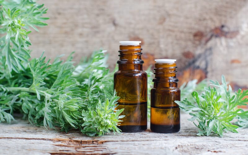 Two bottles of essential oils surrounded by herbs on a table.