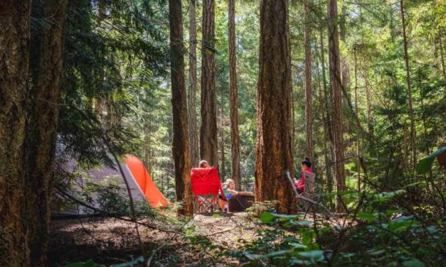 The Ultimate Camping Guide for Beginners: Everything You Need to Know