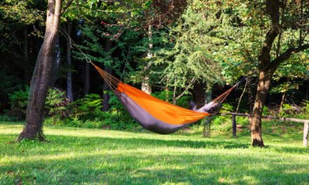 The Ultimate Hammock Camping Guide for Beginners